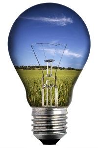 572807-light-bulb-with-landscape-inside-environmental-concept